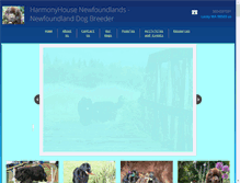 Tablet Screenshot of harmonyhousenewfoundlands.com